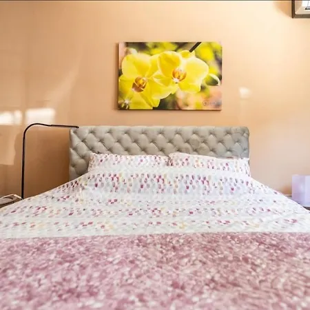 Chic Dorcol Appartement Belgrado